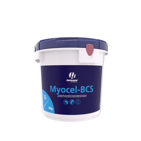 Myocel - BCS - Hestevard UK