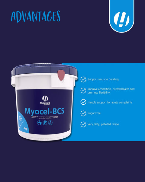 Myocel - BCS - Hestevard UK