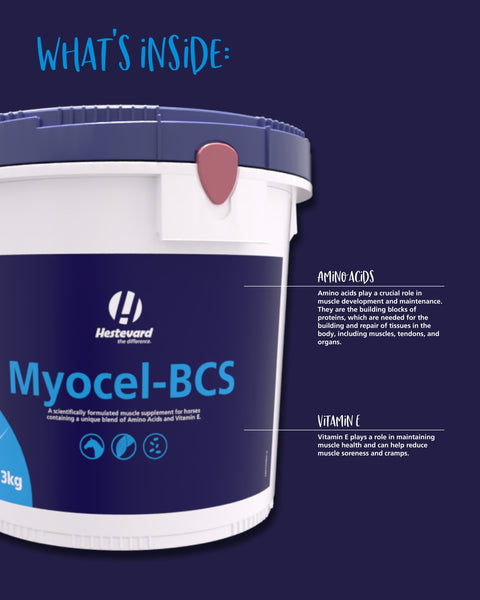 Myocel - BCS - Hestevard UK