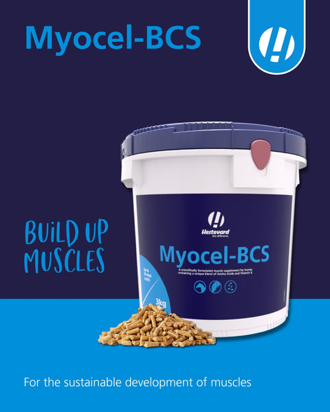 Myocel - BCS - Hestevard UK