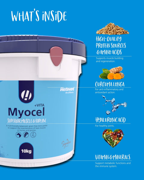 Myocel +VITA - Hestevard UK