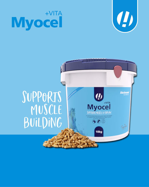 Myocel +VITA - Hestevard UK