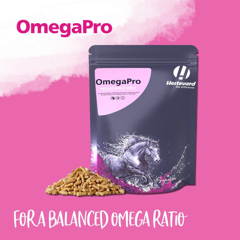 OmegaPro - Hestevard UK
