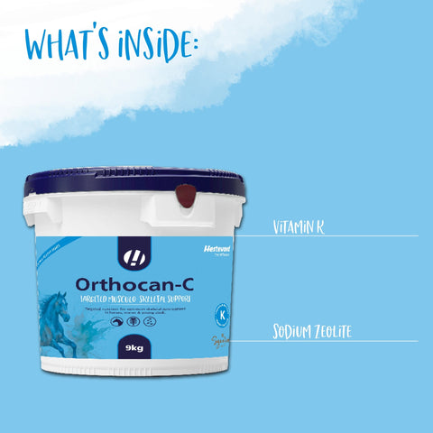 Orthocan - C - Hestevard UK