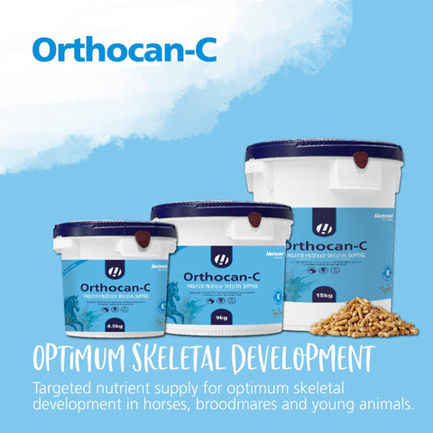 Orthocan - C - Hestevard UK