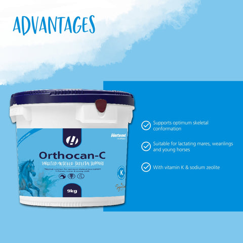 Orthocan - C - Hestevard UK