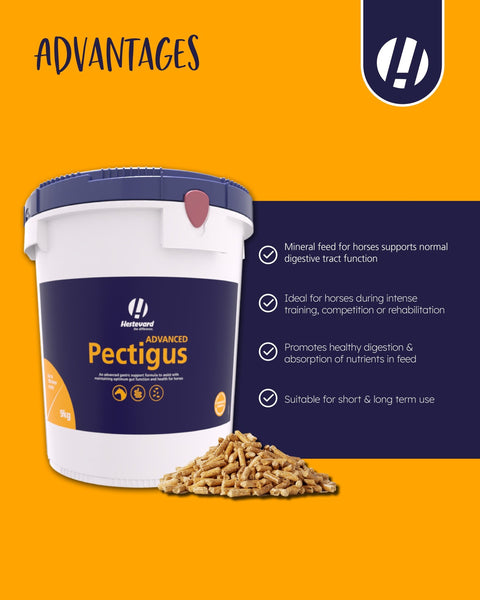 Pectigus ADVANCED - Hestevard UK