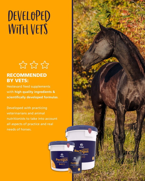 Pectigus ADVANCED - Hestevard UK