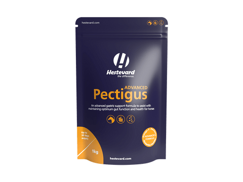 Pectigus ADVANCED - Hestevard UK