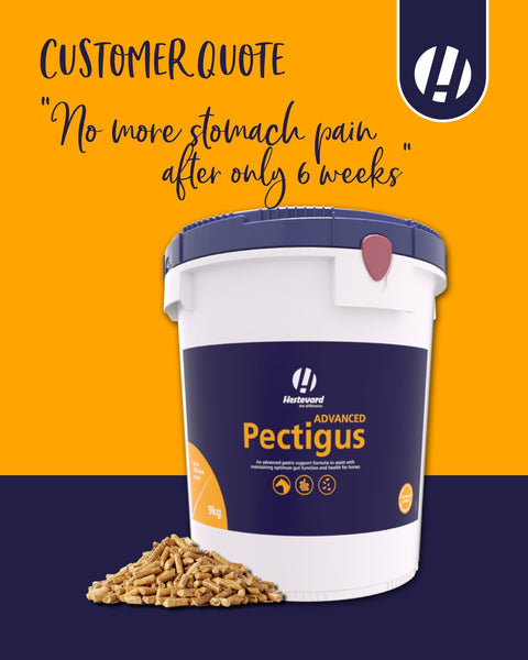 Pectigus ADVANCED - Hestevard UK