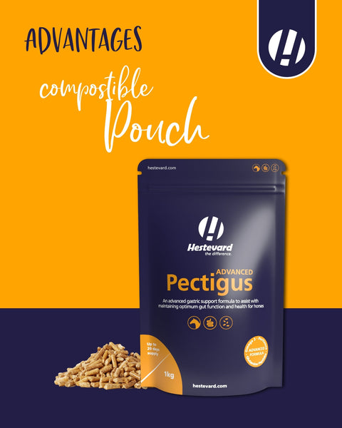 Pectigus ADVANCED - Hestevard UK