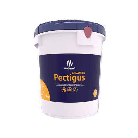 Pectigus ADVANCED - Hestevard UK