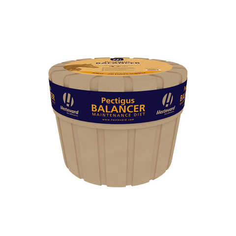 Pectigus Balancer Maintenance Diet - Hestevard UK