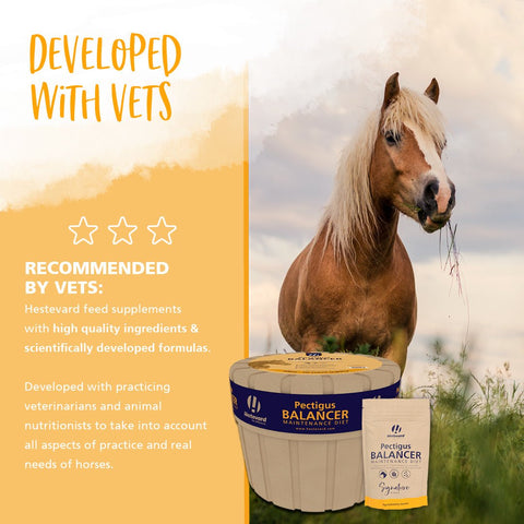 Pectigus Balancer Maintenance Diet - Hestevard UK