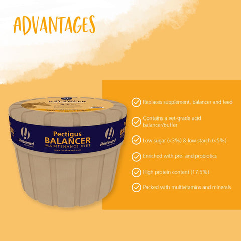 Pectigus Balancer Maintenance Diet - Hestevard UK