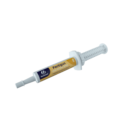 Pectigus Paste - Hestevard UK