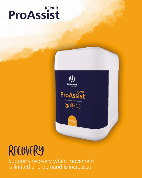 ProAssist Repair - Hestevard UK