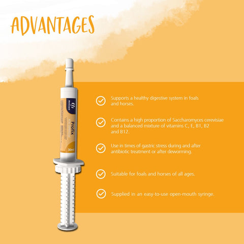 Profix Paste Oral Syringe - Hestevard UK