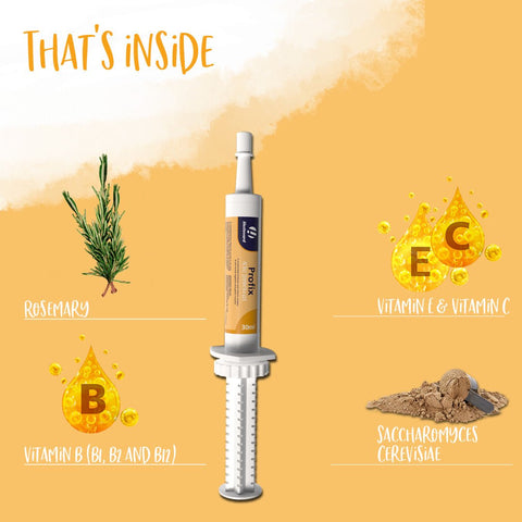 Profix Paste Oral Syringe - Hestevard UK
