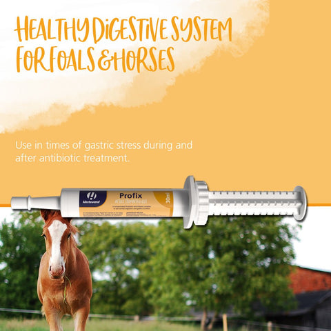 Profix Paste Oral Syringe - Hestevard UK