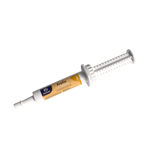 Profix Paste Oral Syringe - Hestevard UK