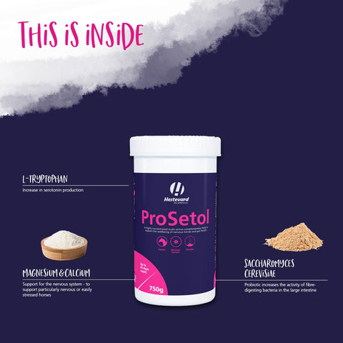 ProSetol - Hestevard UK