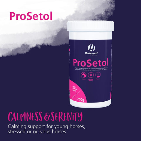 ProSetol - Hestevard UK