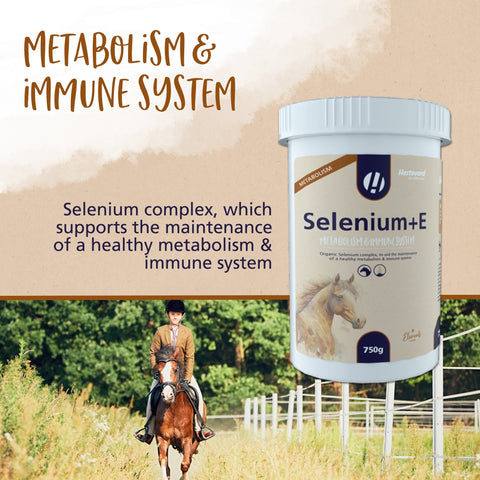 Selenium+E - Hestevard UK