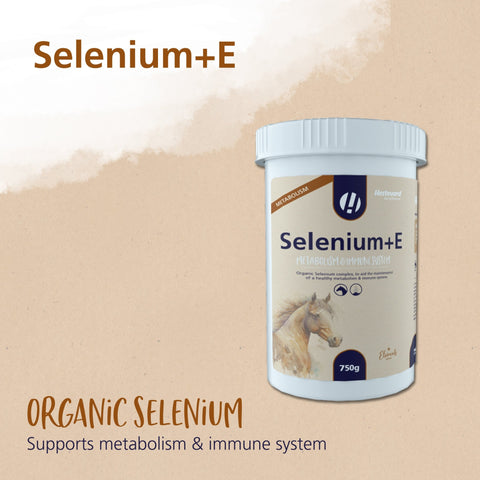 Selenium+E - Hestevard UK
