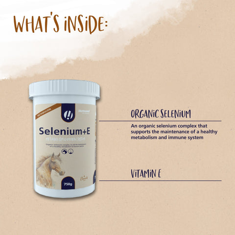 Selenium+E - Hestevard UK