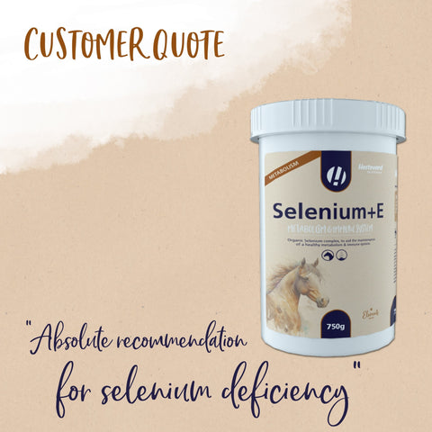 Selenium+E - Hestevard UK