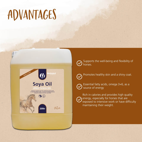 Soya Oil - Hestevard UK