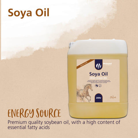 Soya Oil - Hestevard UK