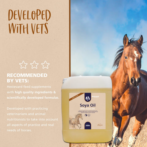 Soya Oil - Hestevard UK