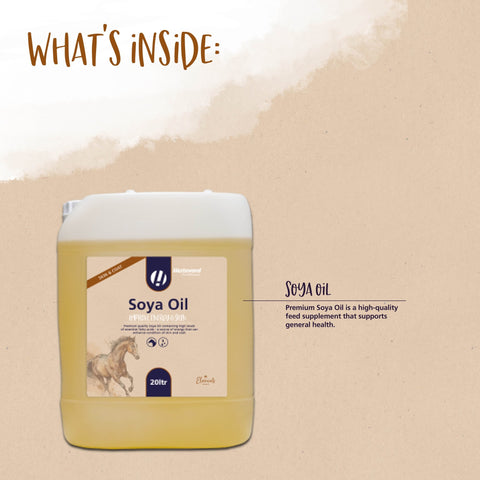 Soya Oil - Hestevard UK