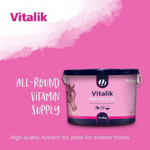 Vitalik 12.5kg - Hestevard UK