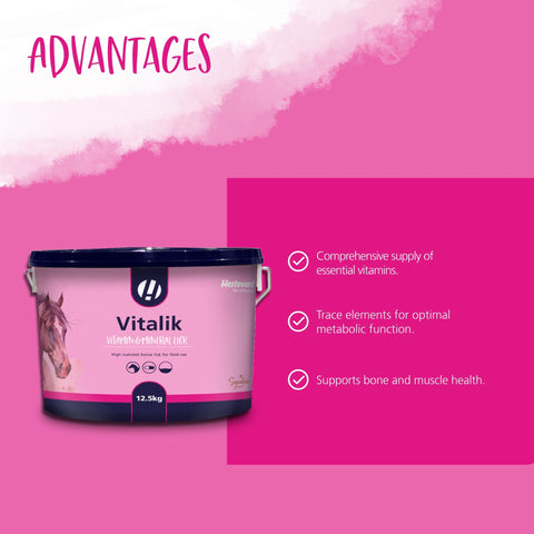 Vitalik 12.5kg - Hestevard UK