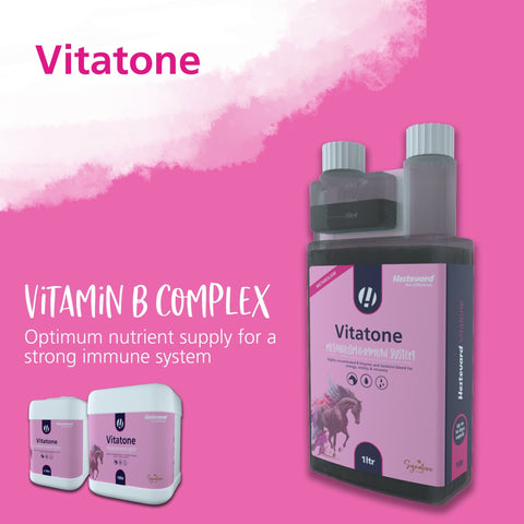 Vitatone - Hestevard UK