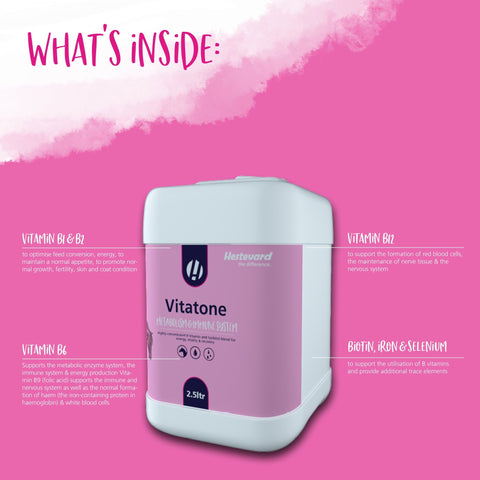 Vitatone - Hestevard UK