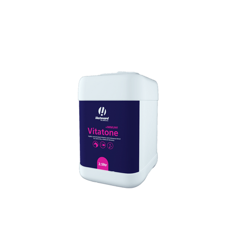 Vitatone +IMMUNE Liquid - Hestevard UK
