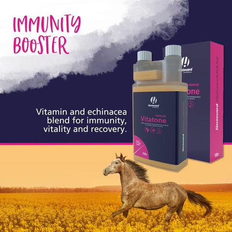 Vitatone +IMMUNE Liquid - Hestevard UK