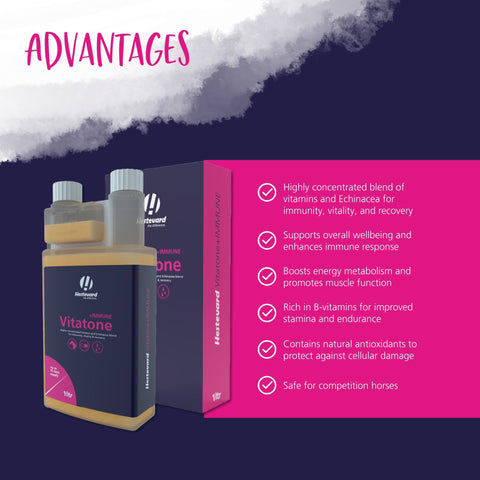 Vitatone +IMMUNE Liquid - Hestevard UK