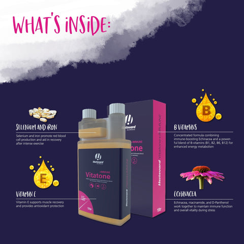 Vitatone +IMMUNE Liquid - Hestevard UK