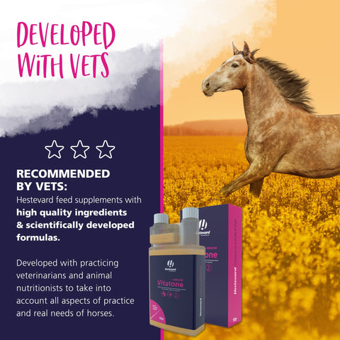 Vitatone +IMMUNE Liquid - Hestevard UK