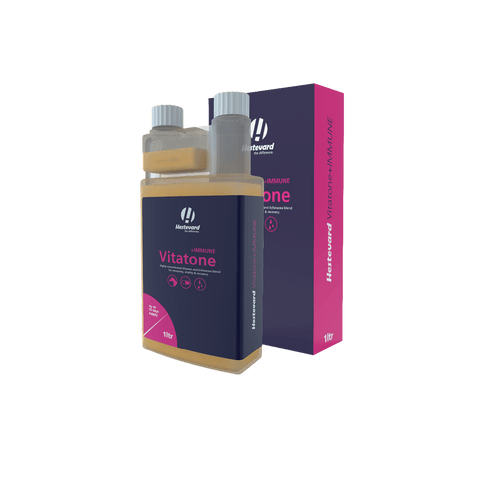 Vitatone +IMMUNE Liquid - Hestevard UK
