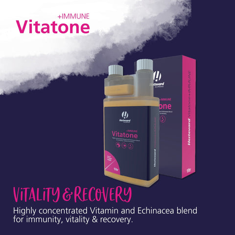 Vitatone +IMMUNE Liquid - Hestevard UK