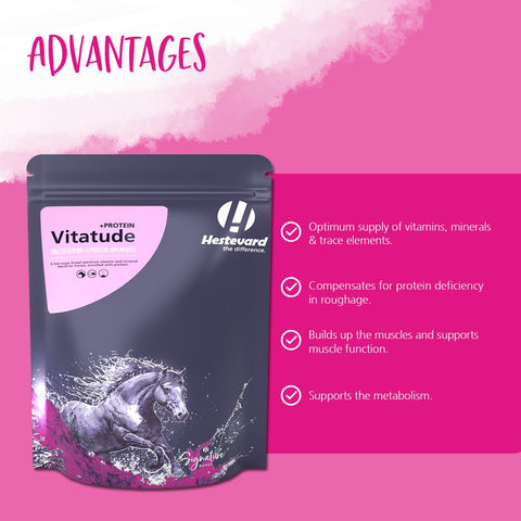Vitatude +Protein - Hestevard UK