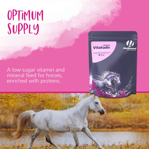 Vitatude +Protein - Hestevard UK