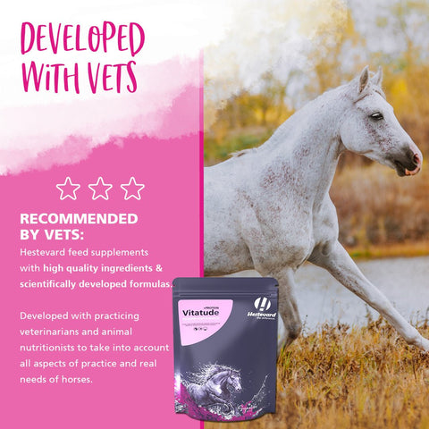 Vitatude +Protein - Hestevard UK