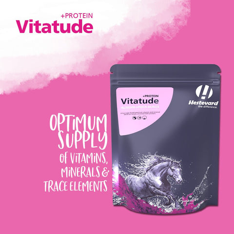 Vitatude +Protein - Hestevard UK